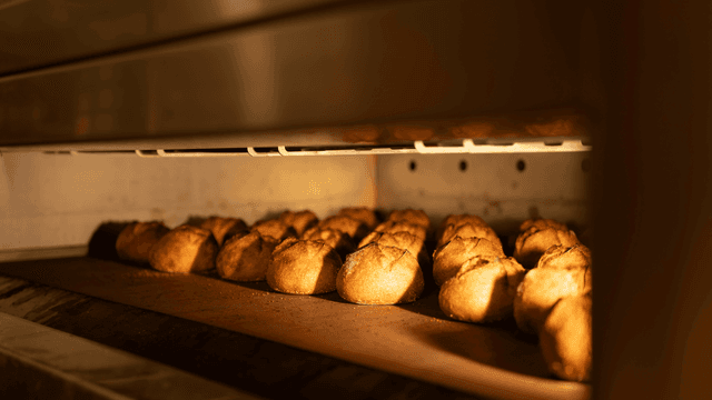 Four à convection : choisir le bon modèle en fonction de votre business